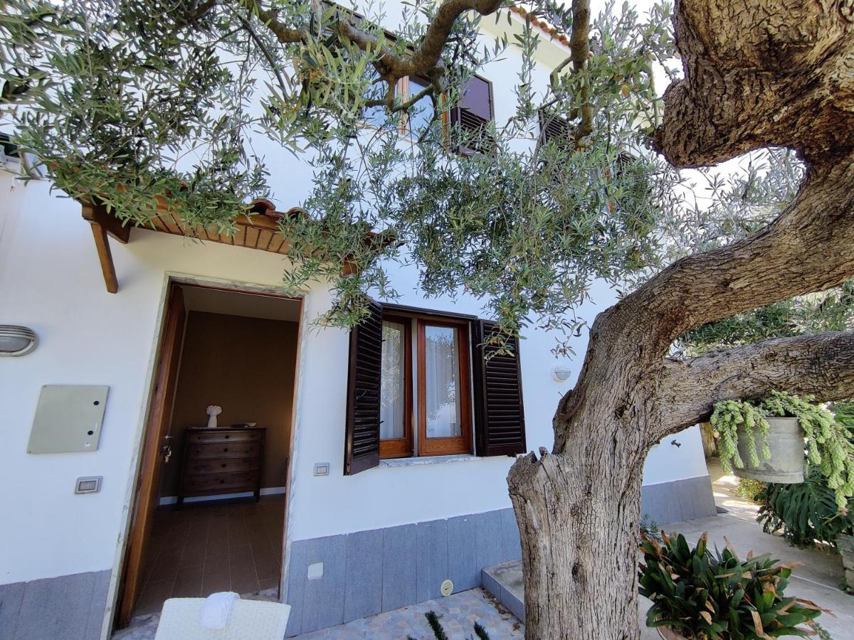 Il Nido Del Gabbiano Apartment Massa Lubrense Luaran gambar
